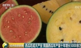 吃瓜产业,揭秘吃瓜产业的崛起与变革